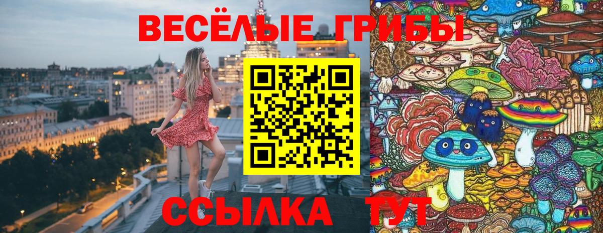 Орёл  Псилоцибиновые грибы GOLDEN TEACHER  Вход с VPN 